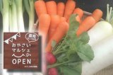 画像: 採れたて新鮮野菜の生産・直売♪おやさいマルシェ かごしま吉永農園
