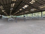 画像: 大規模、雨天時もOK！薩摩どんBBQ×グリーンランド市比野 | 薩摩川内市