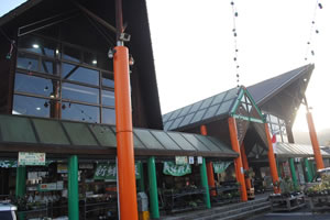画像1: 道の駅 「樋脇」 遊湯館
